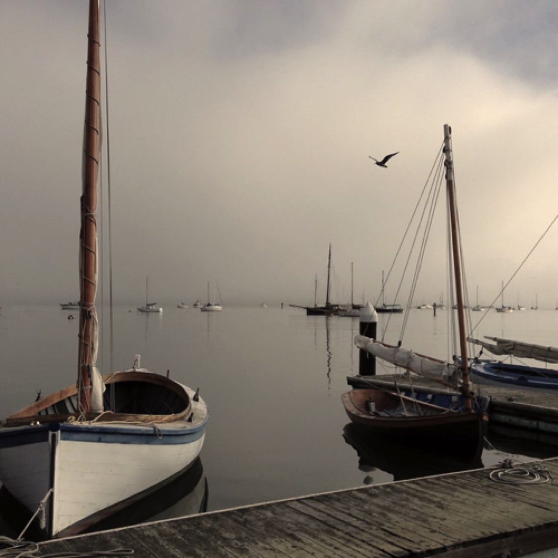 Sitting on the dock of the Bay, Sausalito